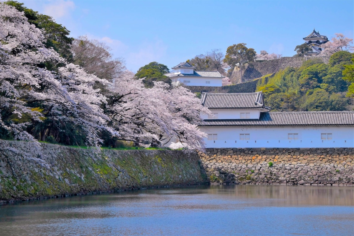 彦根市周辺で分譲住宅を買うならどこ？プロが教えるエリア選びと住みやすさ
