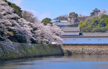 彦根市周辺で分譲住宅を買うならどこ？プロが教えるエリア選びと住みやすさ