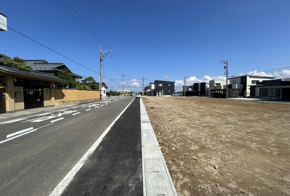 現地写真（西側前面道路）