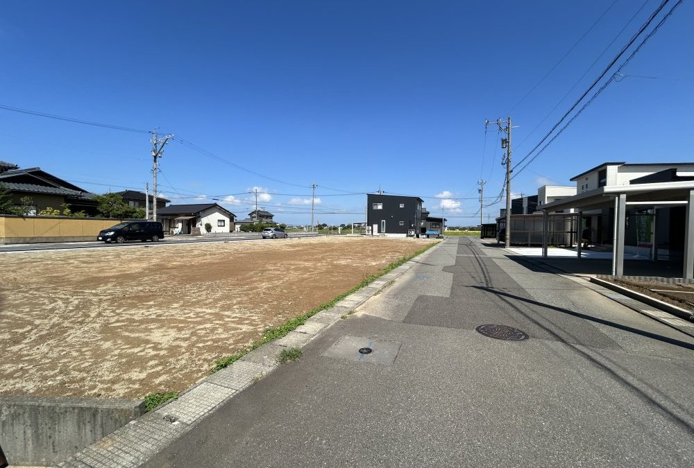 現地写真（東側道路）