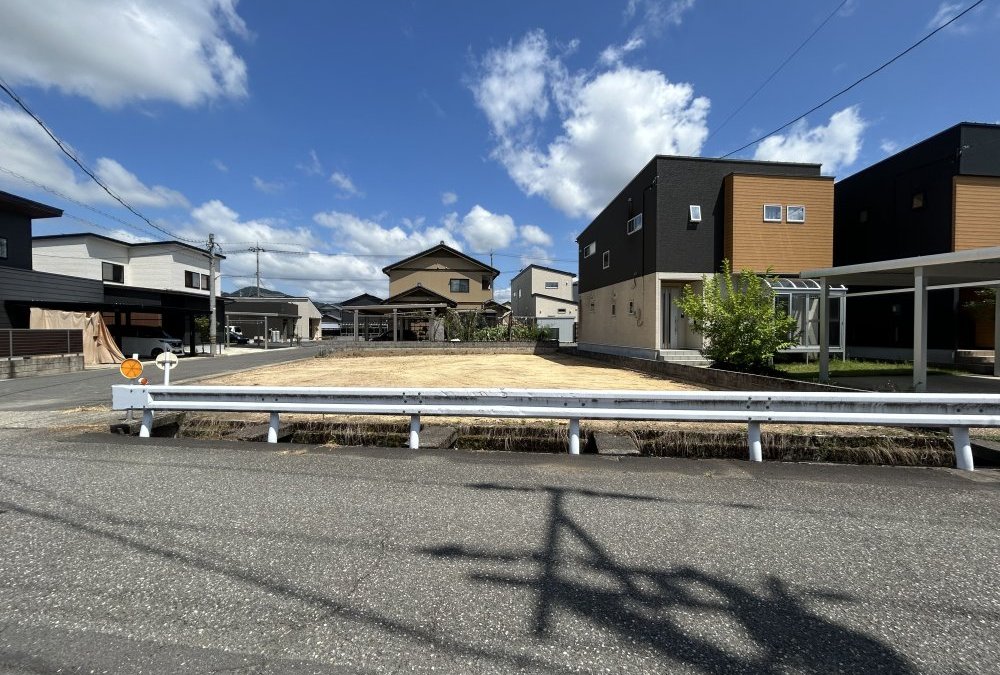 現地写真（西側道路）