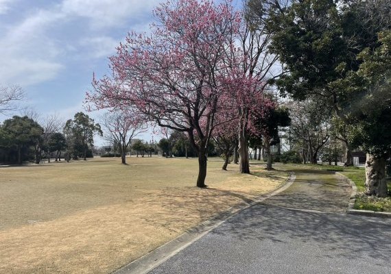 伏見川中央公園