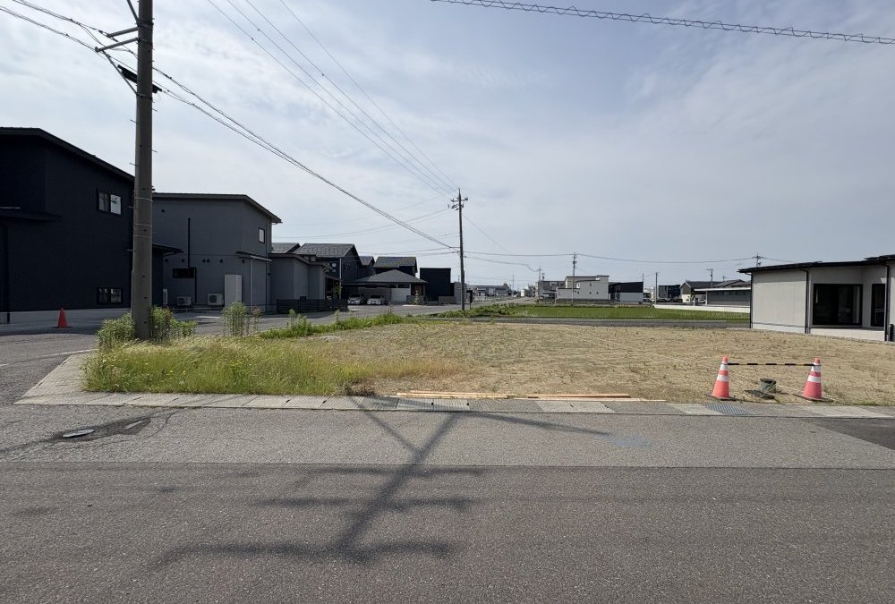 現地写真（2025年6月撮影）
