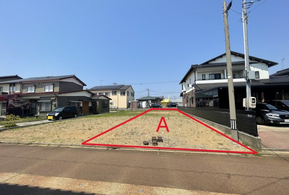 敷地全体（南側から撮影）