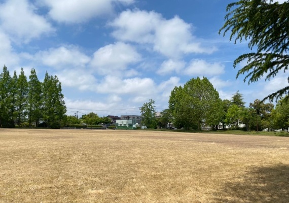 上冨居公園