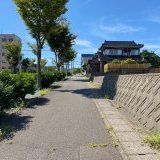 南側歩道（東側から撮影）