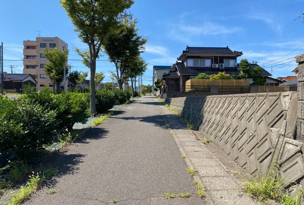 南側歩道（東側から撮影）