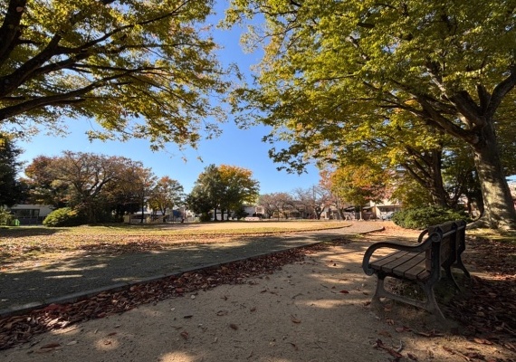 小立野児童公園