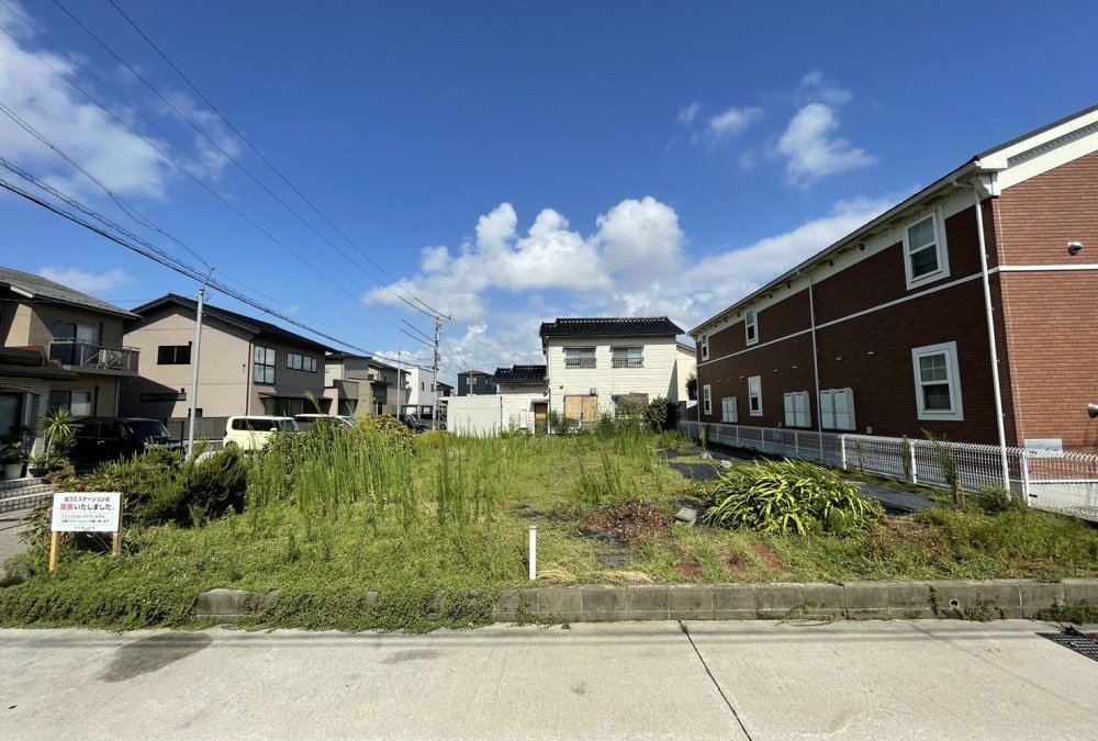 敷地全体（西側より撮影）