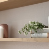 リビングの壁棚は、本棚としても使えますがインテリアを置いておしゃれなディスプレイをすることも可能！様々なシーンを演出できます。