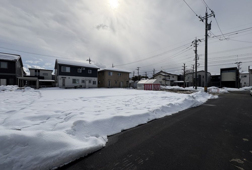 現地写真（2025年2月撮影）