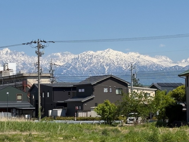 リビングからの風景