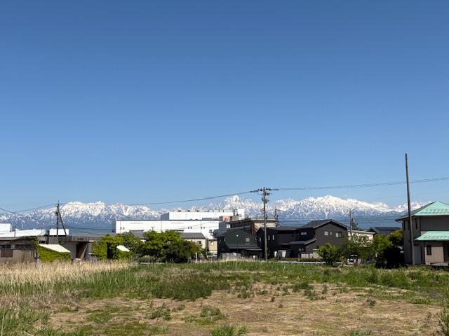 リビングからの風景