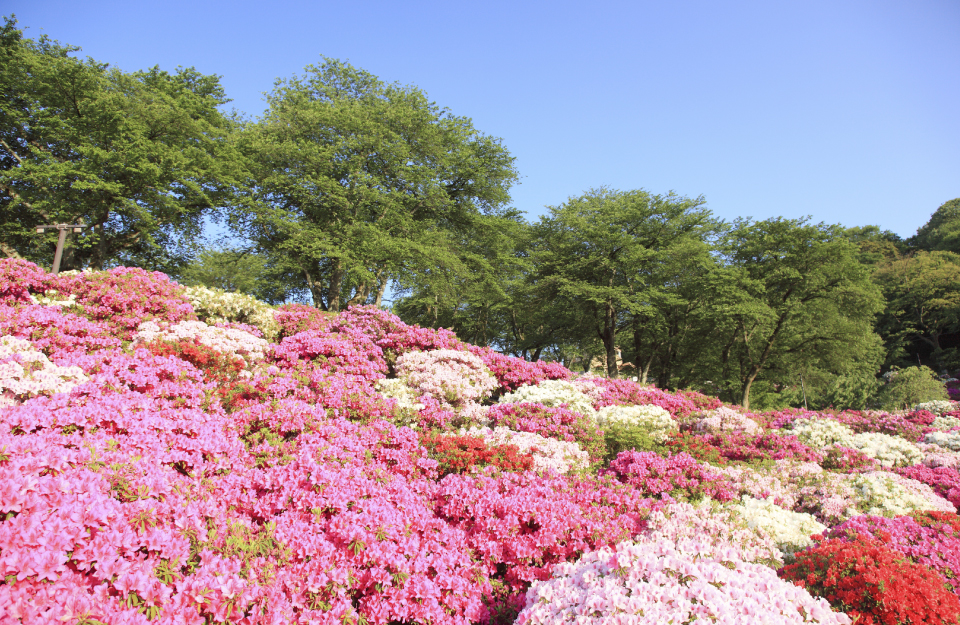 サスティナ五郎丸で始める、新しい暮らし。