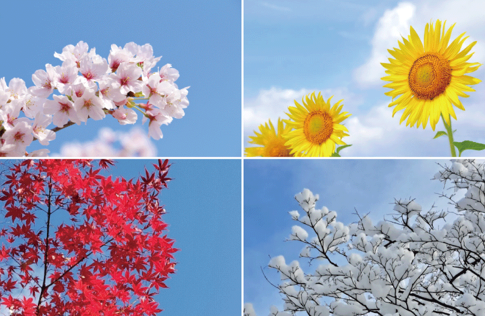 家族の記憶を綴る、一生ものの舞台。